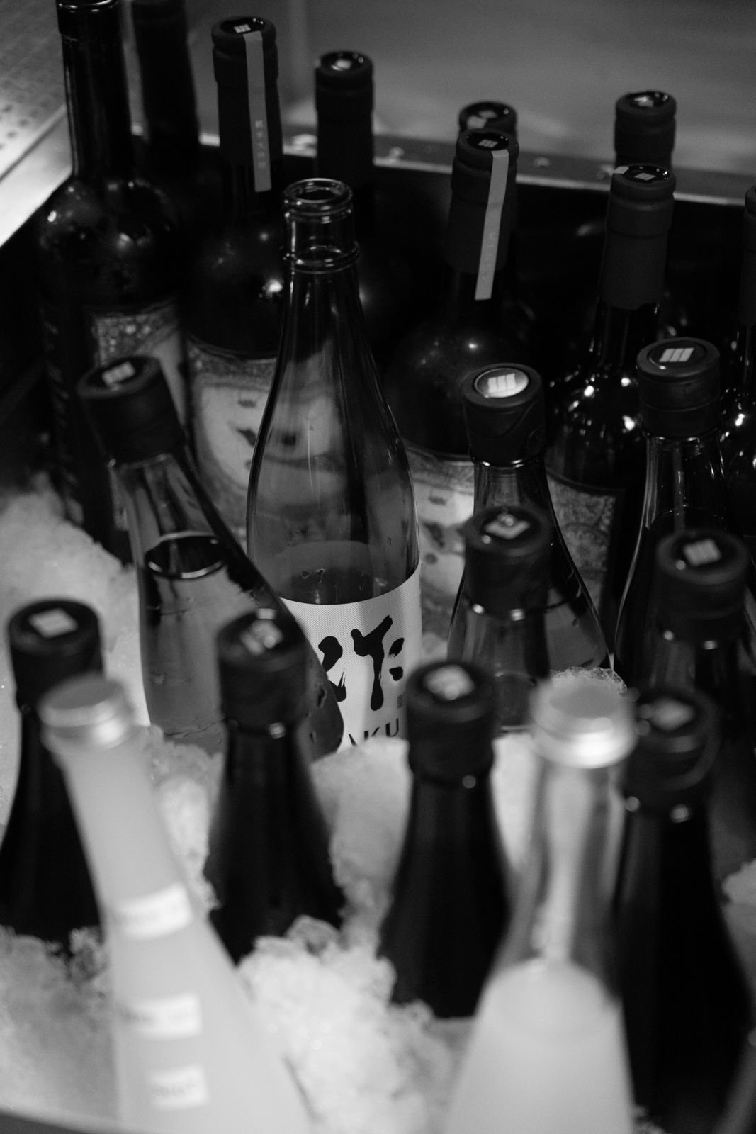提供酒とお料理 8